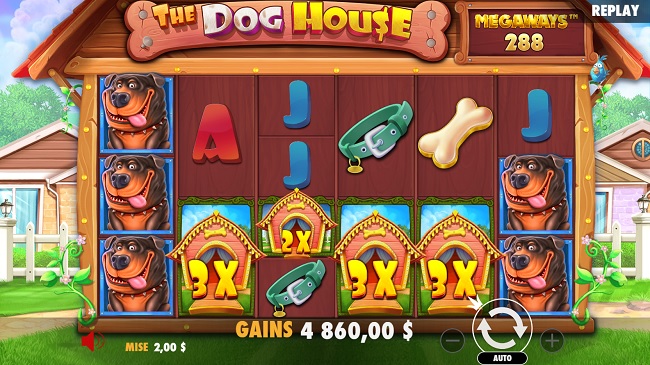 the dog house megaways