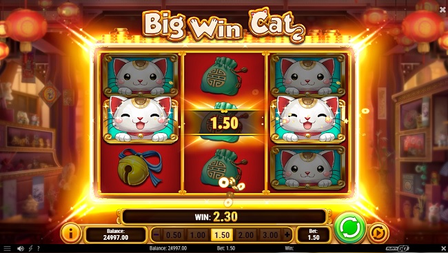 play'n go big win cat