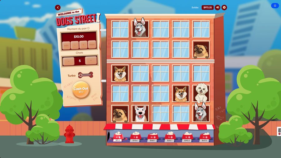Bets Dogs' Street