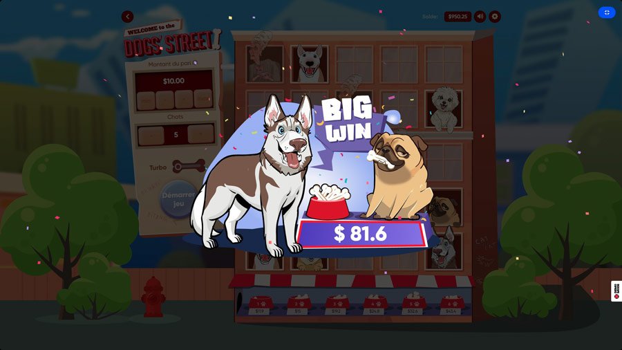 Win Dogs' Street