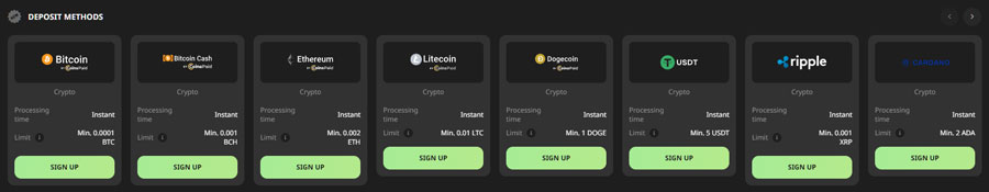 WillBet Casino payment