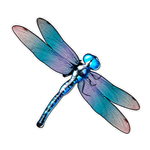 Dragonfly Big Bass Bonanza