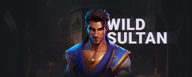Banner test and review Wild Sultan